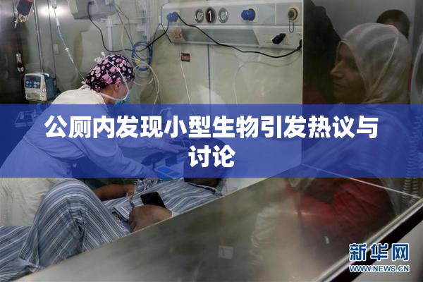 公厕内发现小型生物引发热议与讨论