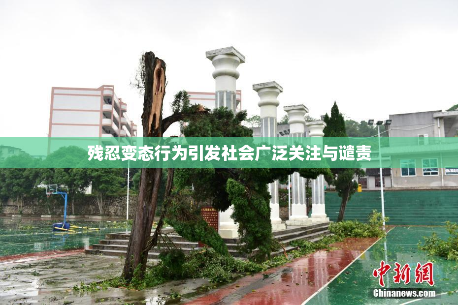 残忍变态行为引发社会广泛关注与谴责