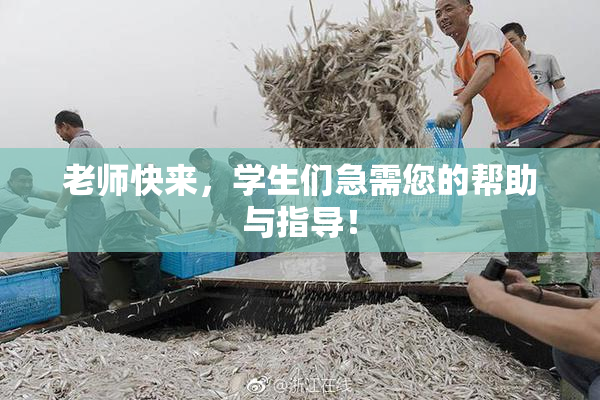 老师快来，学生们急需您的帮助与指导！