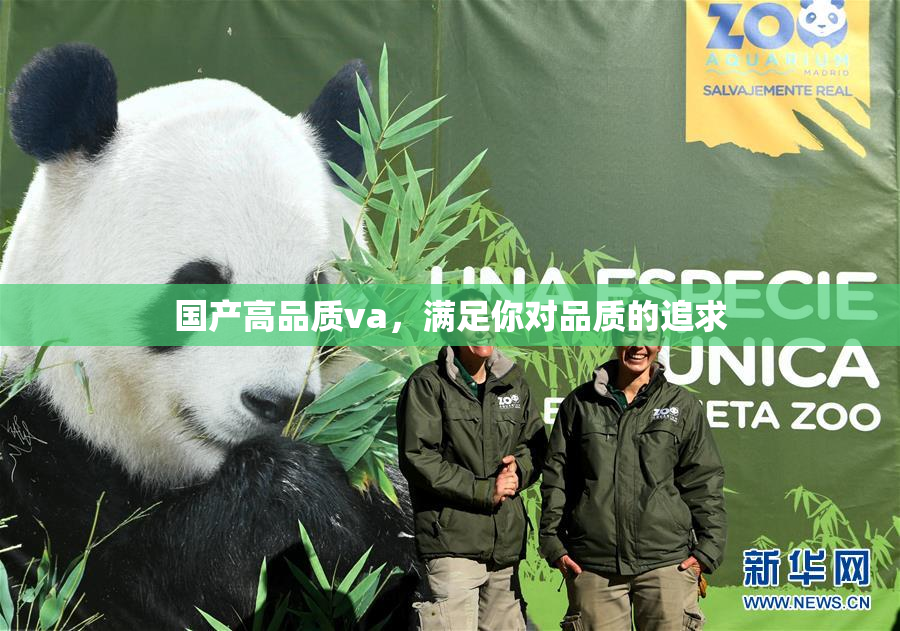 国产高品质va，满足你对品质的追求