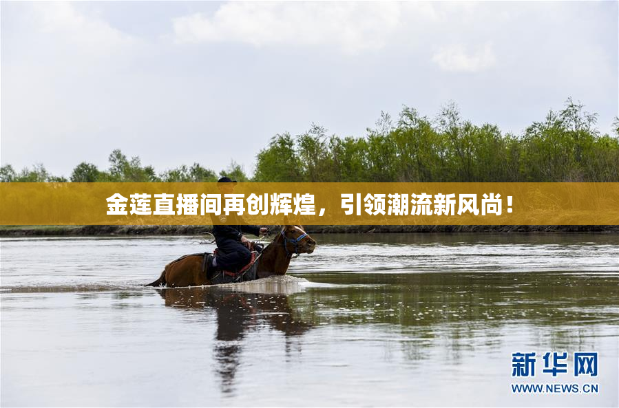 金莲直播间再创辉煌，引领潮流新风尚！