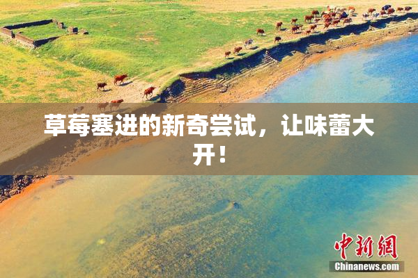草莓塞进的新奇尝试，让味蕾大开！