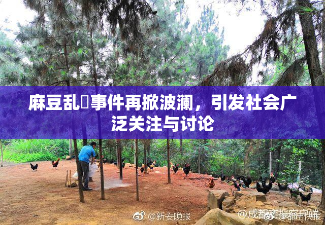 麻豆乱婬事件再掀波澜，引发社会广泛关注与讨论