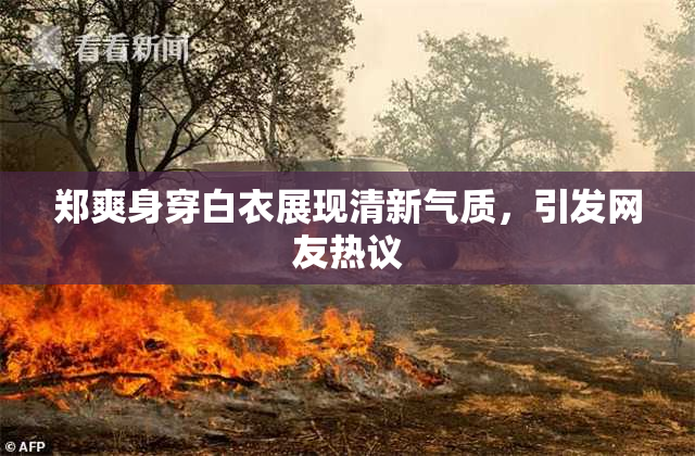 郑爽身穿白衣展现清新气质，引发网友热议