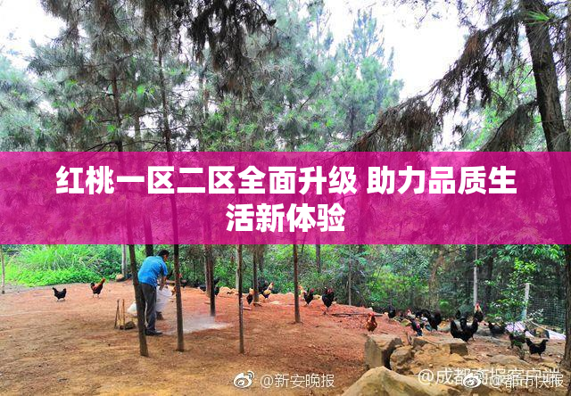 红桃一区二区全面升级 助力品质生活新体验