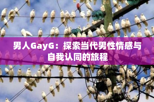 男人GayG：探索当代男性情感与自我认同的旅程