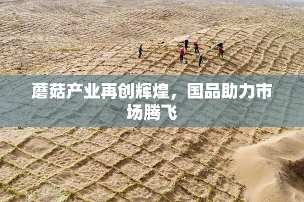 蘑菇产业再创辉煌，国品助力市场腾飞