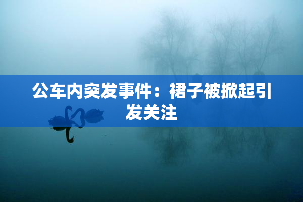 公车内突发事件：裙子被掀起引发关注
