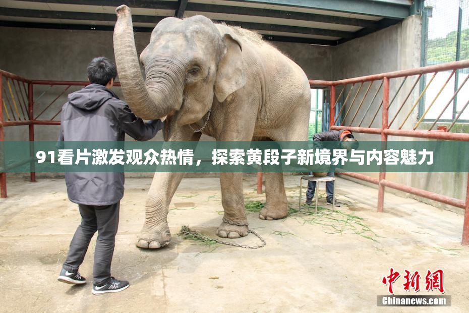 91看片激发观众热情，探索黄段子新境界与内容魅力