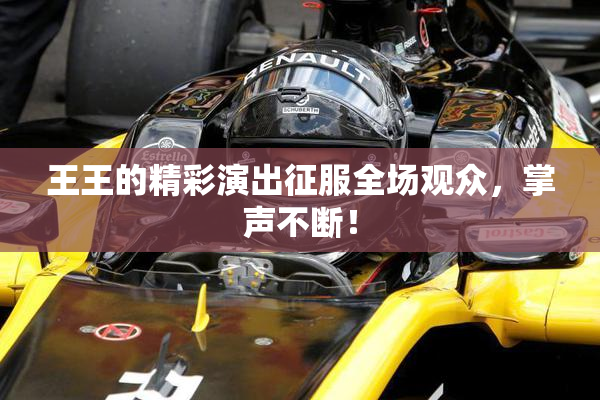 王王的精彩演出征服全场观众，掌声不断！