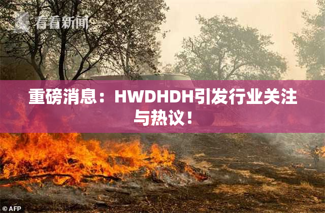 重磅消息：HWDHDH引发行业关注与热议！