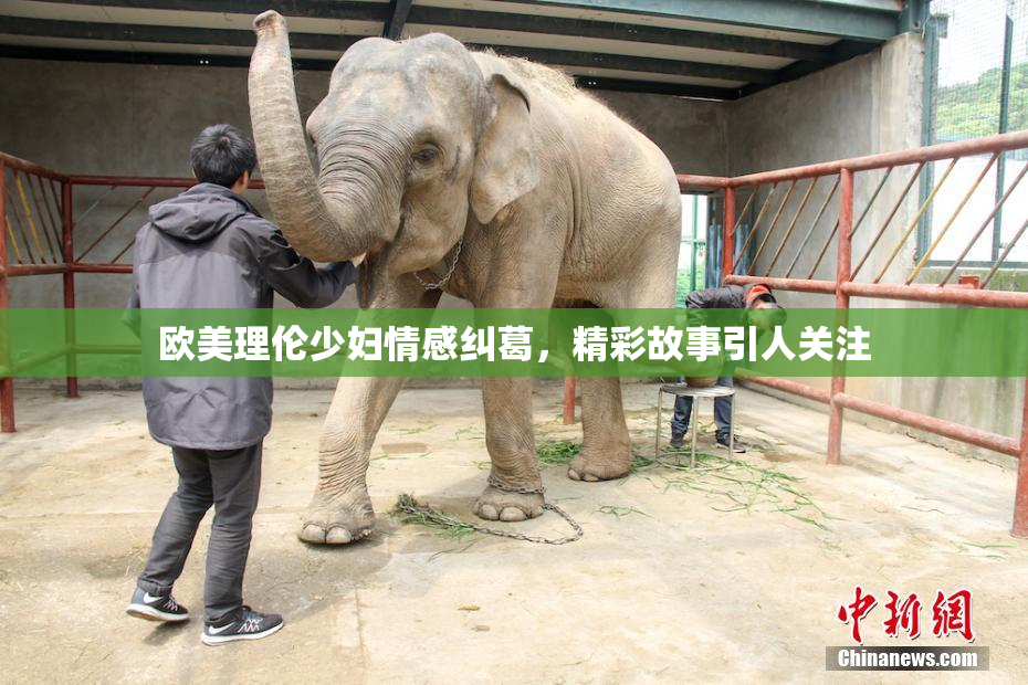欧美理伦少妇情感纠葛，精彩故事引人关注