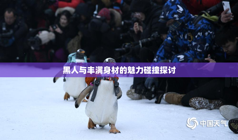 黑人与丰满身材的魅力碰撞探讨