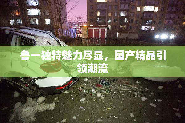 鲁一独特魅力尽显，国产精品引领潮流