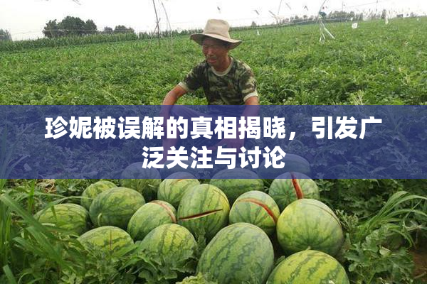 珍妮被误解的真相揭晓，引发广泛关注与讨论
