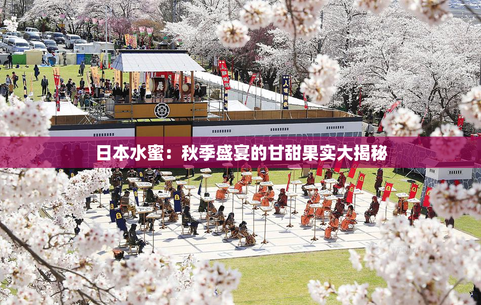 日本水蜜：秋季盛宴的甘甜果实大揭秘