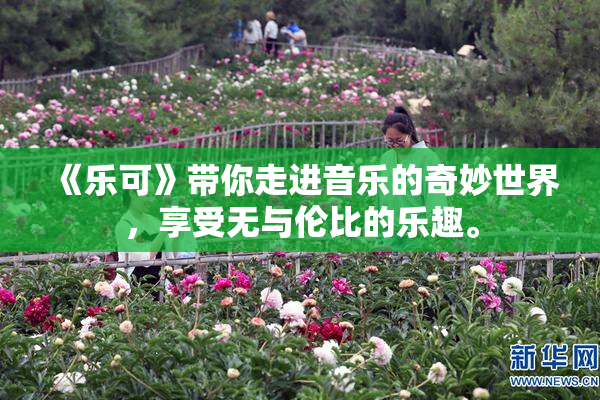 《乐可》带你走进音乐的奇妙世界，享受无与伦比的乐趣。