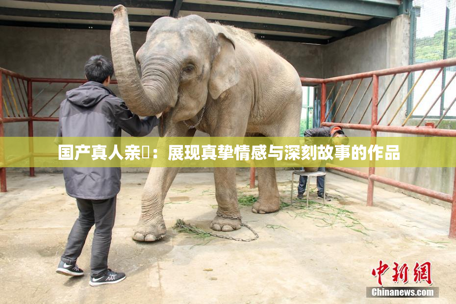 国产真人亲妺：展现真挚情感与深刻故事的作品