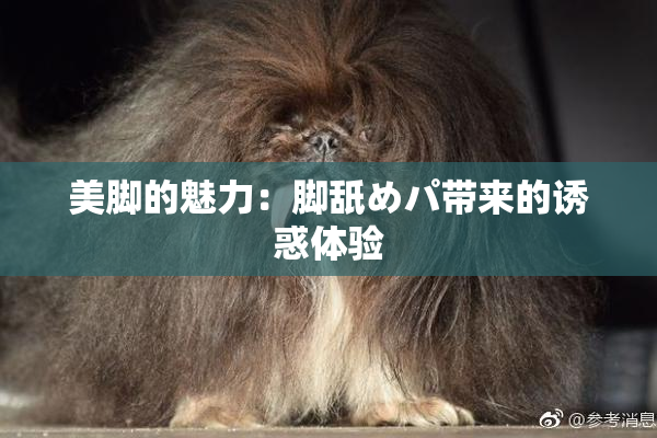 美脚的魅力：脚舐めパ带来的诱惑体验