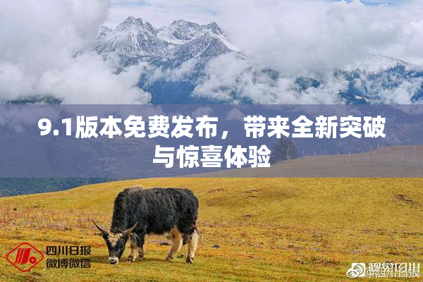9.1版本免费发布，带来全新突破与惊喜体验