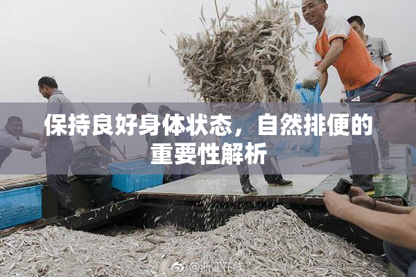 保持良好身体状态，自然排便的重要性解析