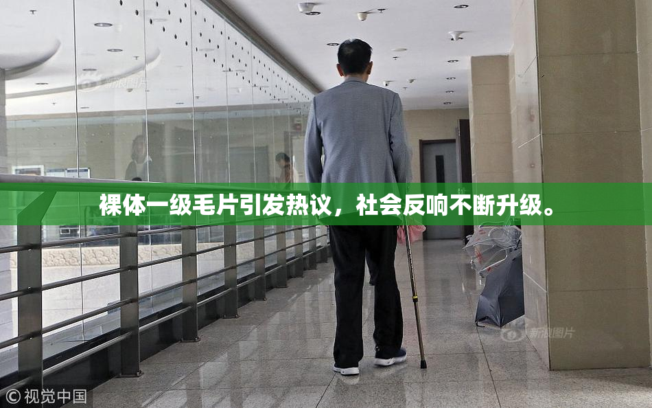 裸体一级毛片引发热议，社会反响不断升级。