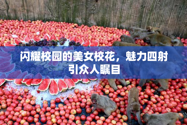闪耀校园的美女校花，魅力四射引众人瞩目