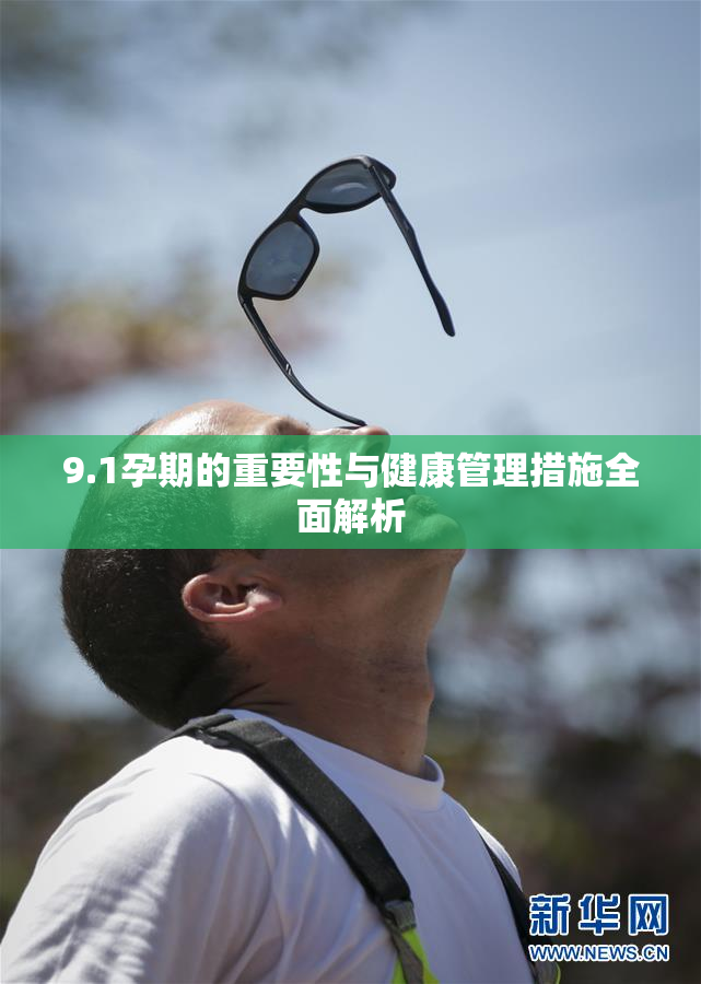 9.1孕期的重要性与健康管理措施全面解析