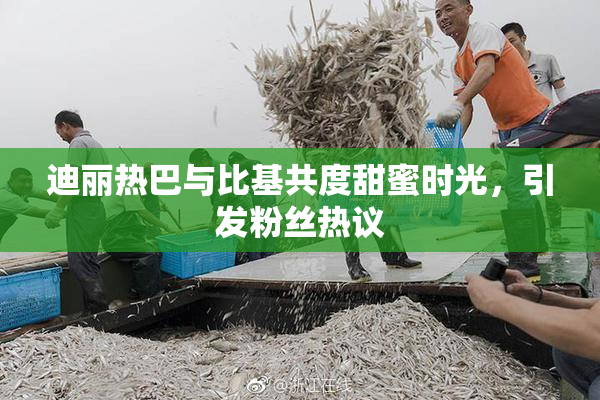迪丽热巴与比基共度甜蜜时光，引发粉丝热议