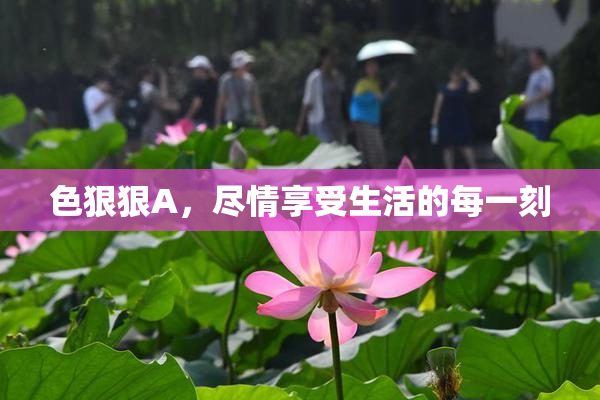 色狠狠A，尽情享受生活的每一刻