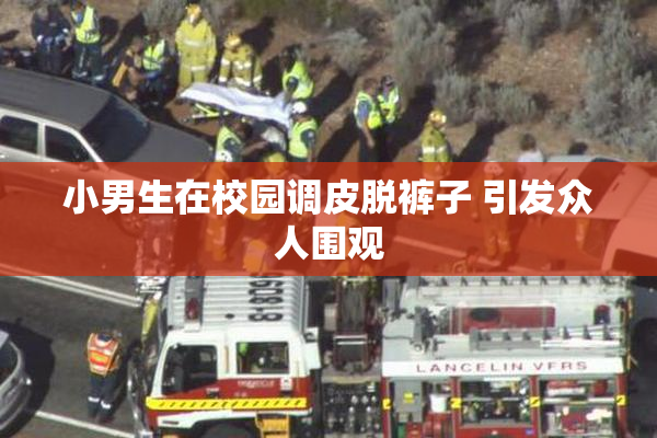 小男生在校园调皮脱裤子 引发众人围观