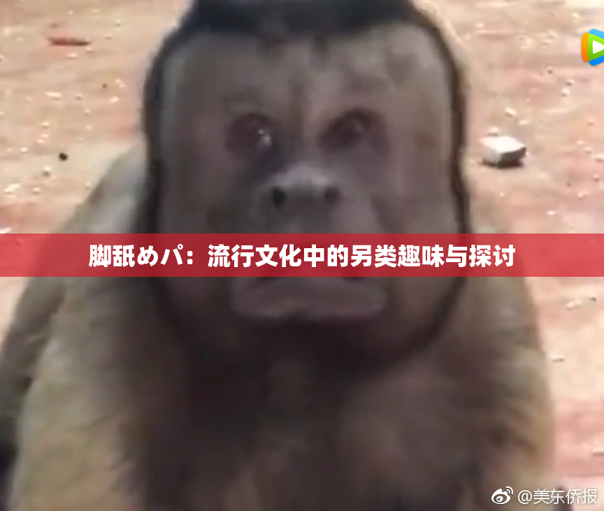脚舐めパ：流行文化中的另类趣味与探讨