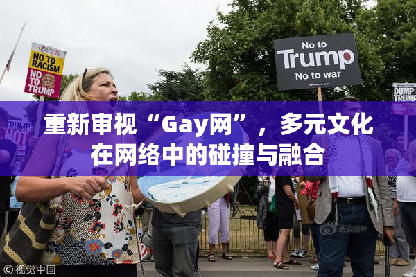 重新审视“Gay网”，多元文化在网络中的碰撞与融合