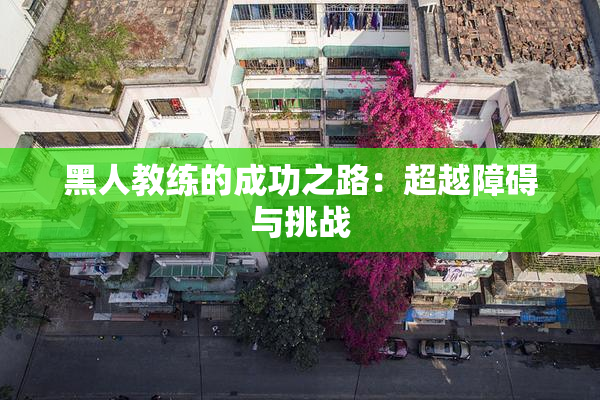 黑人教练的成功之路：超越障碍与挑战