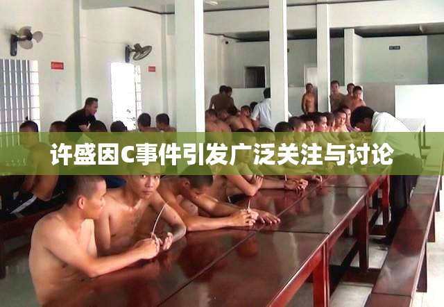 许盛因C事件引发广泛关注与讨论