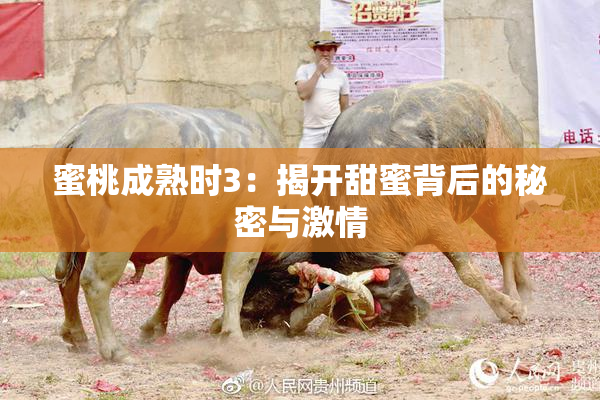 蜜桃成熟时3：揭开甜蜜背后的秘密与激情