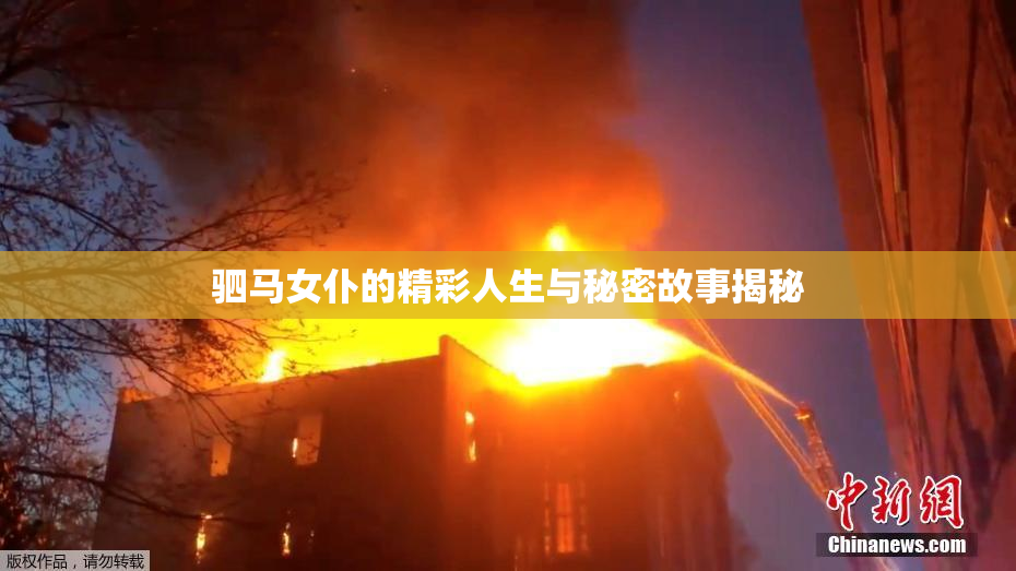 驷马女仆的精彩人生与秘密故事揭秘