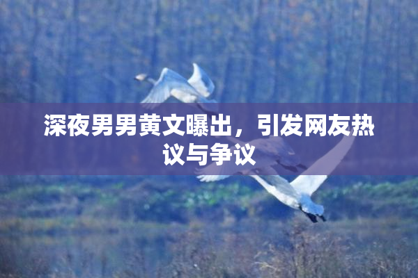深夜男男黄文曝出，引发网友热议与争议