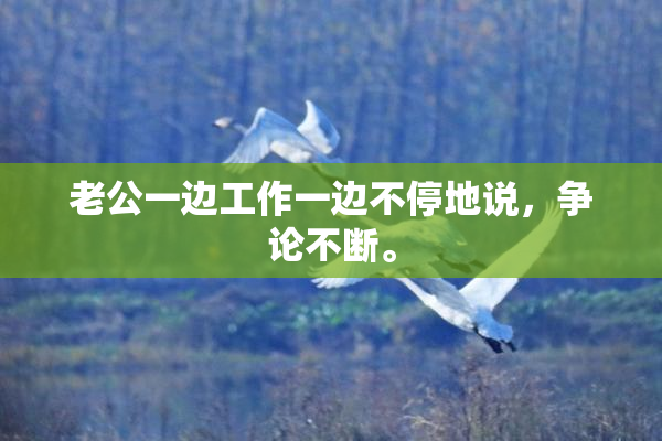 老公一边工作一边不停地说，争论不断。