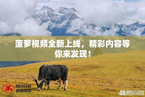 菠萝视频全新上线，精彩内容等你来发现！
