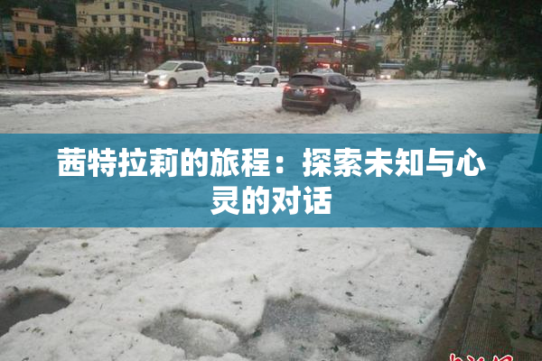茜特拉莉的旅程：探索未知与心灵的对话