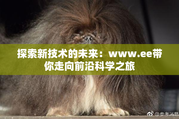 探索新技术的未来：www.ee带你走向前沿科学之旅