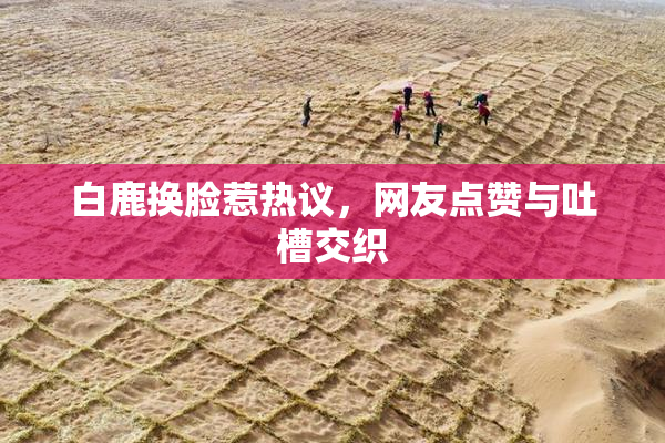 白鹿换脸惹热议，网友点赞与吐槽交织