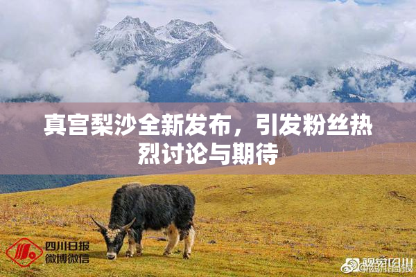 真宫梨沙全新发布，引发粉丝热烈讨论与期待