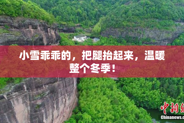 小雪乖乖的，把腿抬起来，温暖整个冬季！