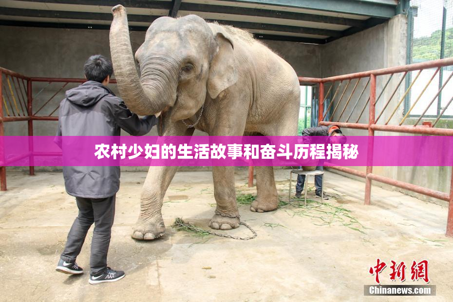 农村少妇的生活故事和奋斗历程揭秘
