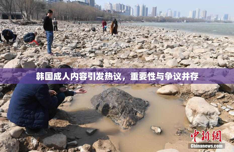 韩国成人内容引发热议，重要性与争议并存