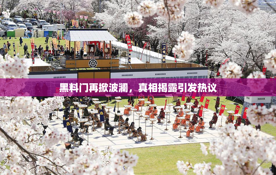 黑料门再掀波澜，真相揭露引发热议