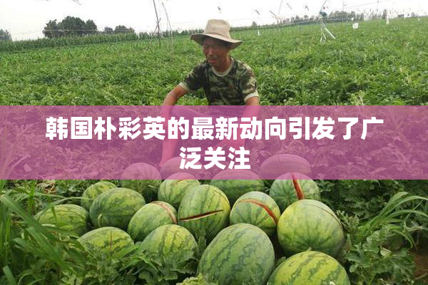 韩国朴彩英的最新动向引发了广泛关注