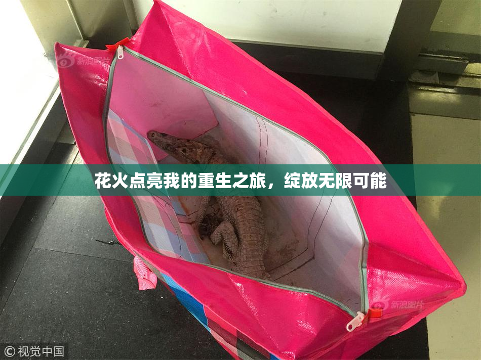 花火点亮我的重生之旅，绽放无限可能
